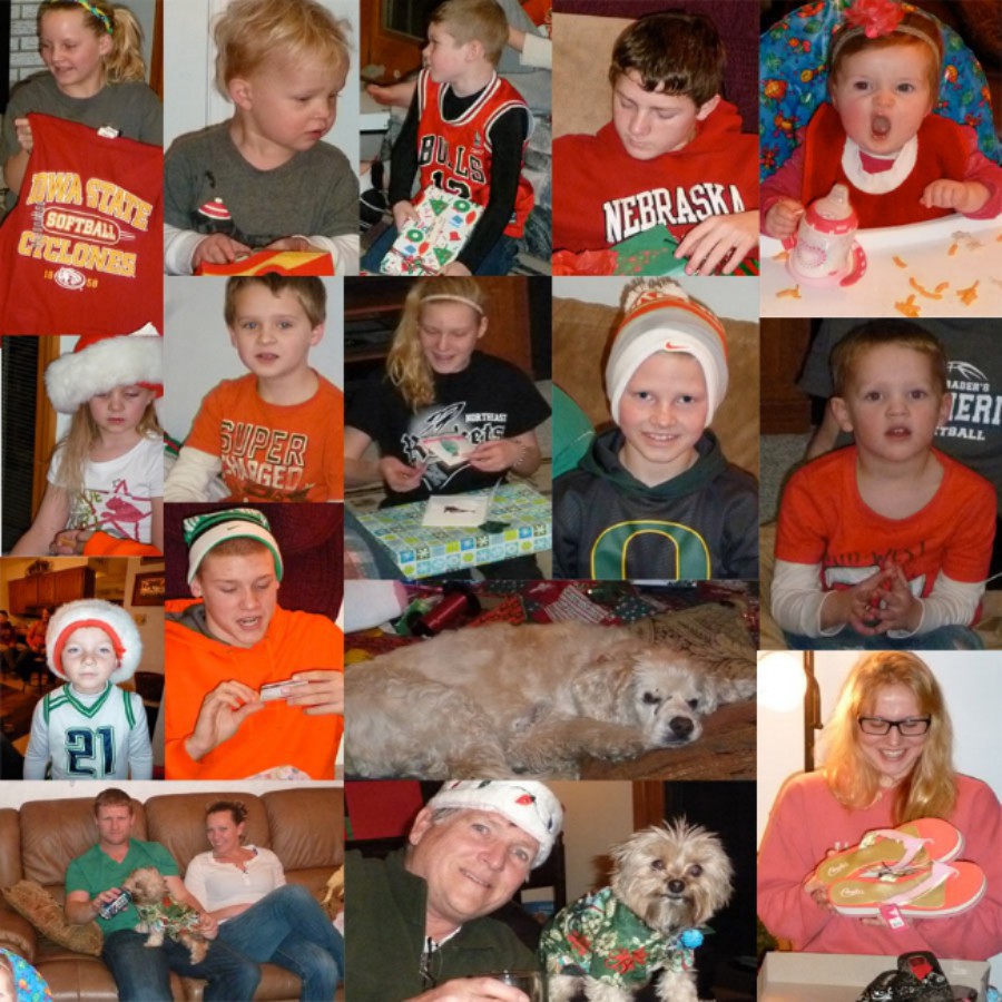 collage2013