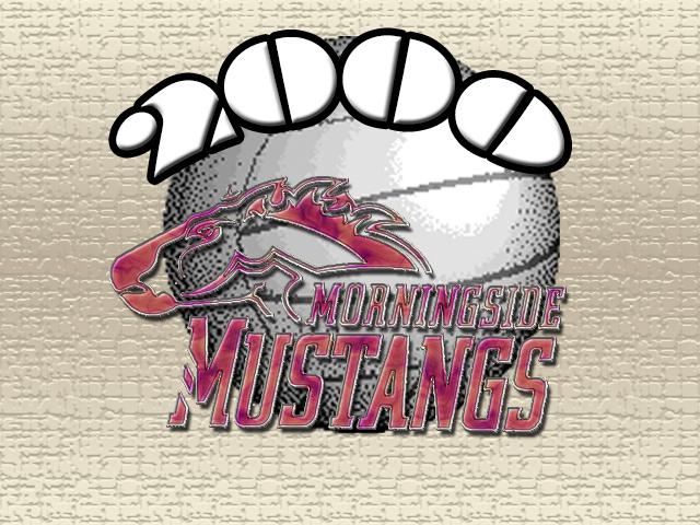 Morningside Vball 2000